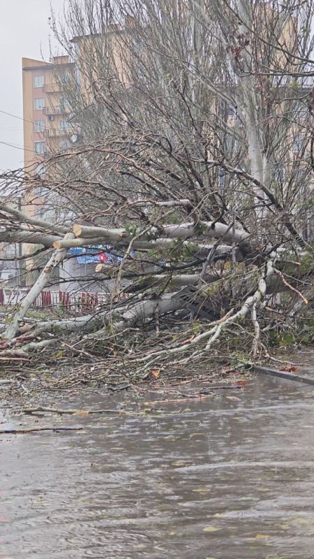 ������� ��������� � ������������ ����� ����� ������� �������� ��� ��������� ����������� ����������� ��������!