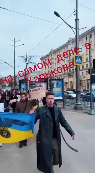 ����� �������-���������� � ��������, ������ �� ������ � ������� ����, ������ ����� �� �����