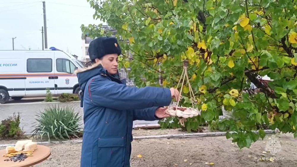 ��� � ��������� �������� ����� ����..