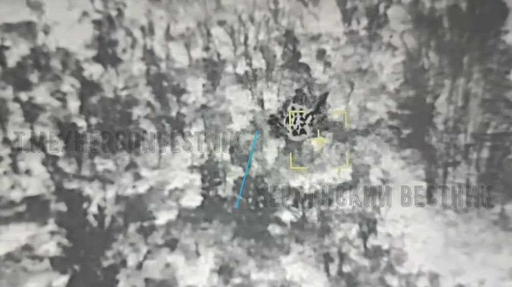 "�����������" ������:. ���� ���������� �������������� ���������� ��������������� ����������� ��������� �...