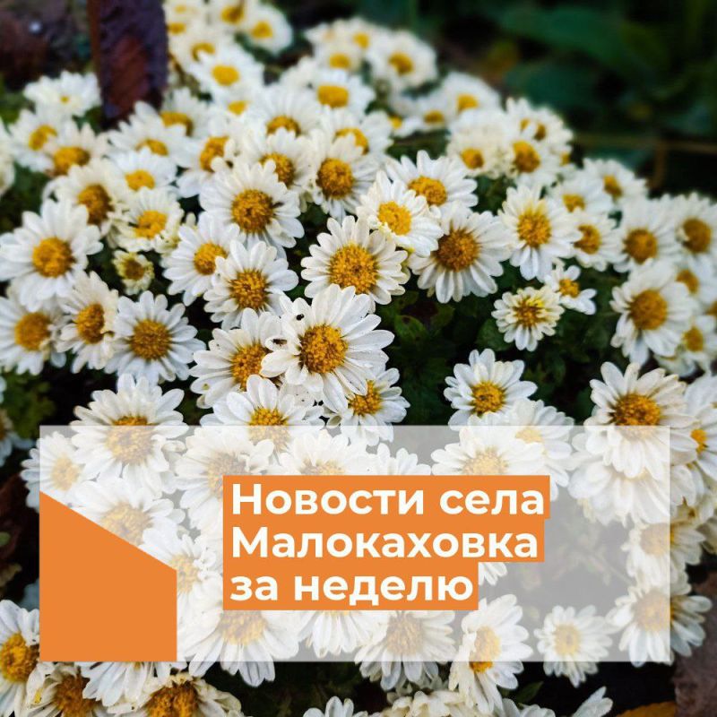 ������� ���� ����������� � 13 ������ �� 19 ������