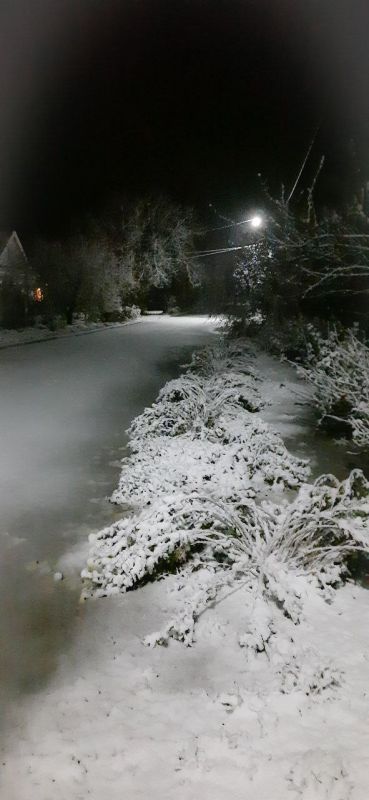 ������ ���� � ��������� ������������� ������ ����� � ���� �� �����������