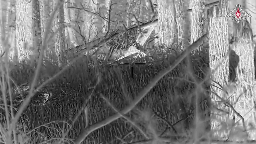 ����� ������ ���������� ��� ��� �� ���������� �����������