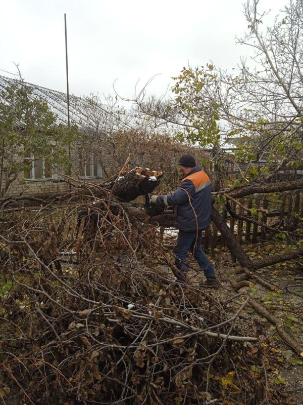 � ����� ������� ����������� ����������� ������