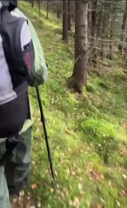 ����� ������ �� �������, ��� ������� �� �������