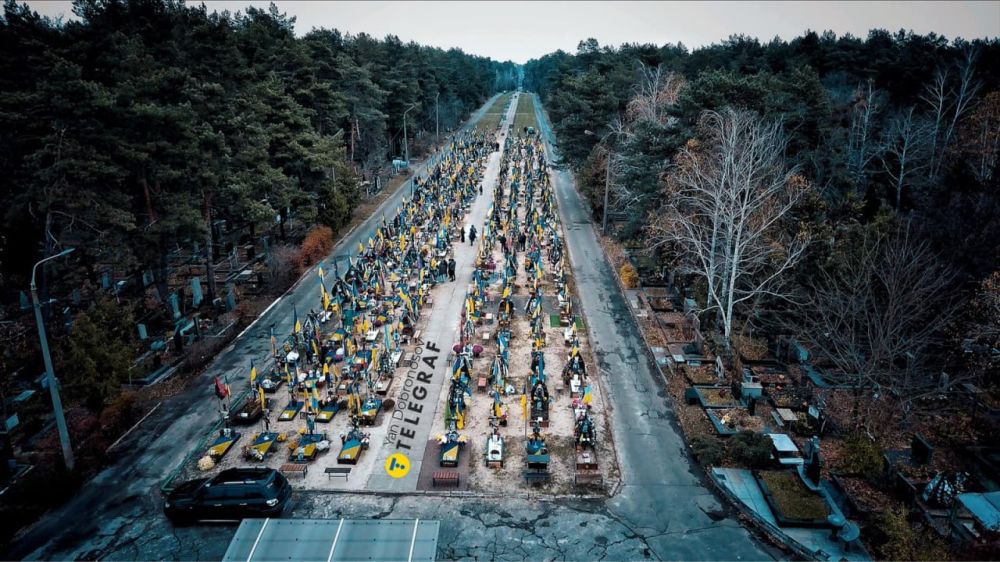 �������� ����...������.... ��������������: