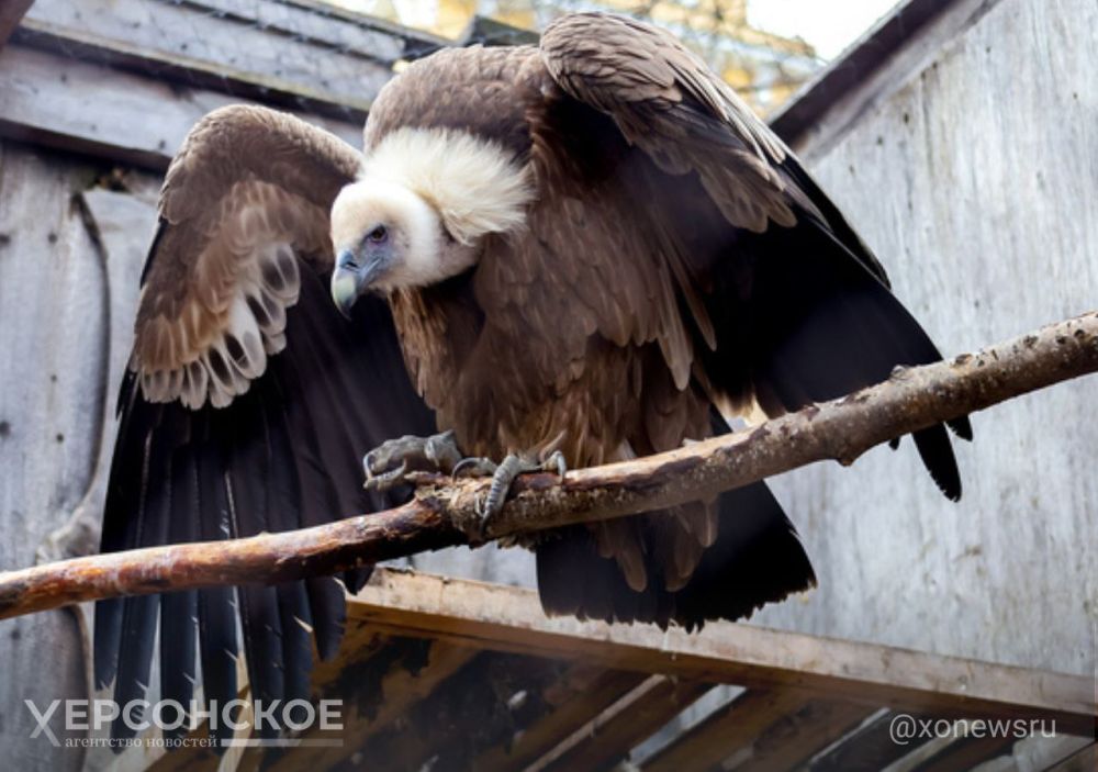 ���������� �������� ���������� ��� ���������, ������ � ������������ � ����� ��������