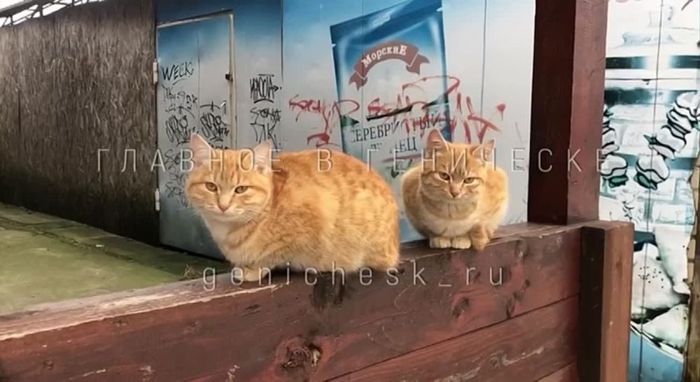 � ��������� �������� ����� �� ���� ��������� � ��� ����� ���� � ����� ��� ����������� �� ��������� �������