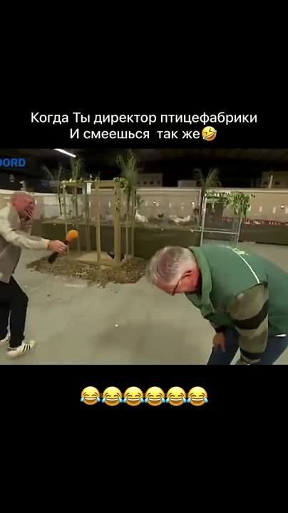 ����� ���������� ��������