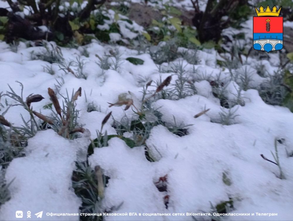 ������ ����, �������!. @VGA_Kakhovka