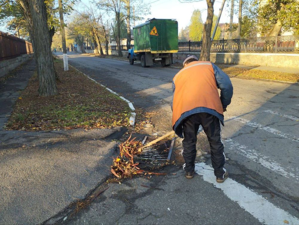 � ������������� ��������� ������ ����������� ������ �� ���������������