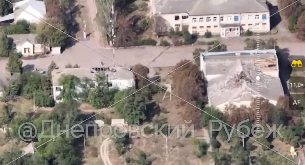 ����������� ����� "�����". �� ���������