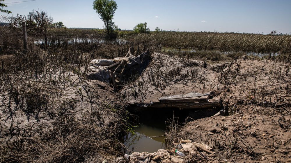 ���� 50% ���������� ���������������� ������ ������ �������� ��� �����