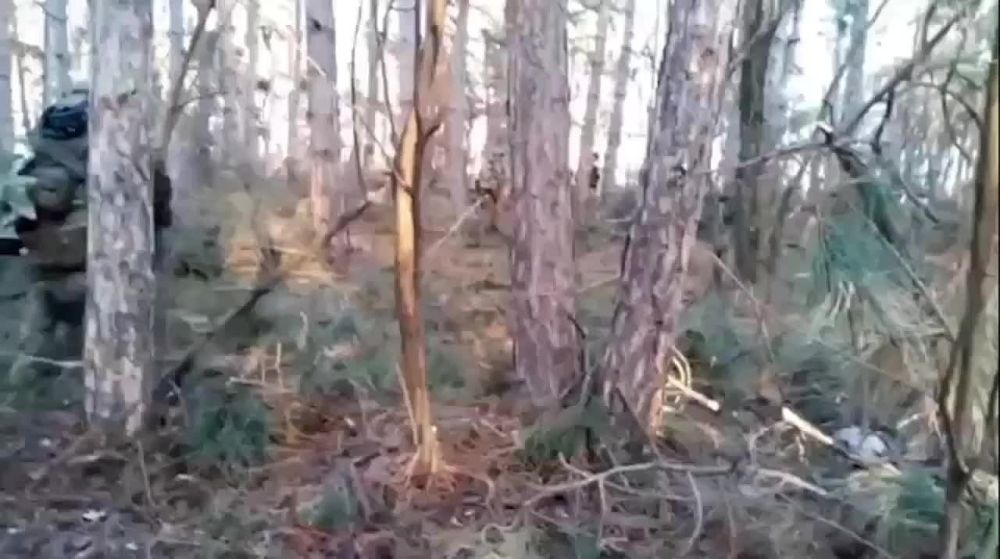 ������� �� ����������� ������� ��������� ��� ������� ��� ���������� �� ����� ������ ������