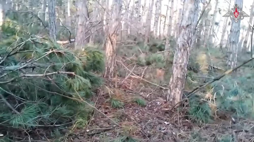 ���� �� ������� � ������� ����� ���������� ��������� ������� ��� ������������� �� ����� ����� ������