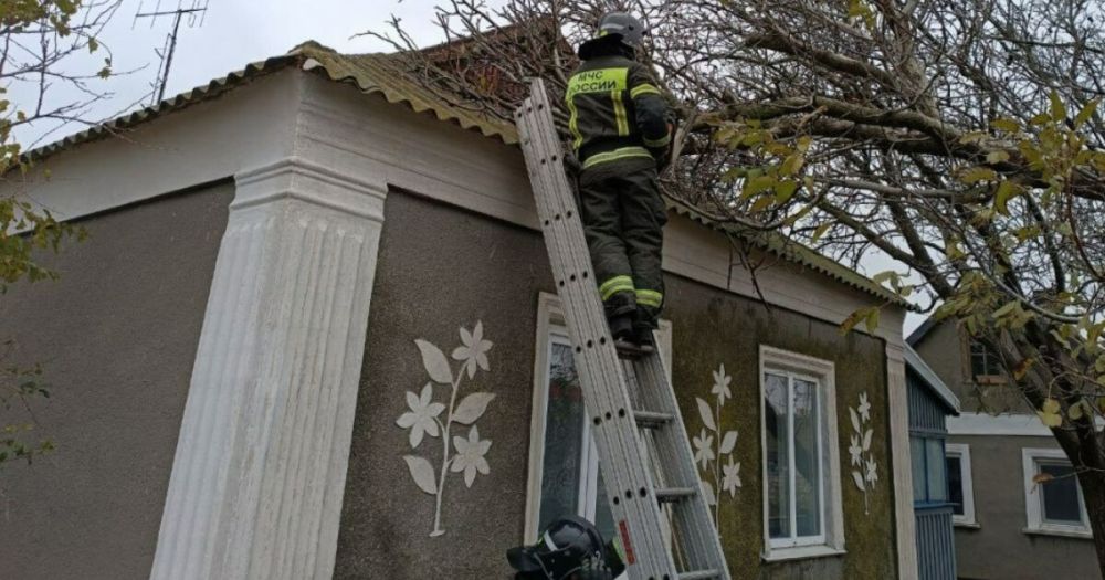 ���� ������� ����� � ���������� ������ �� ����������