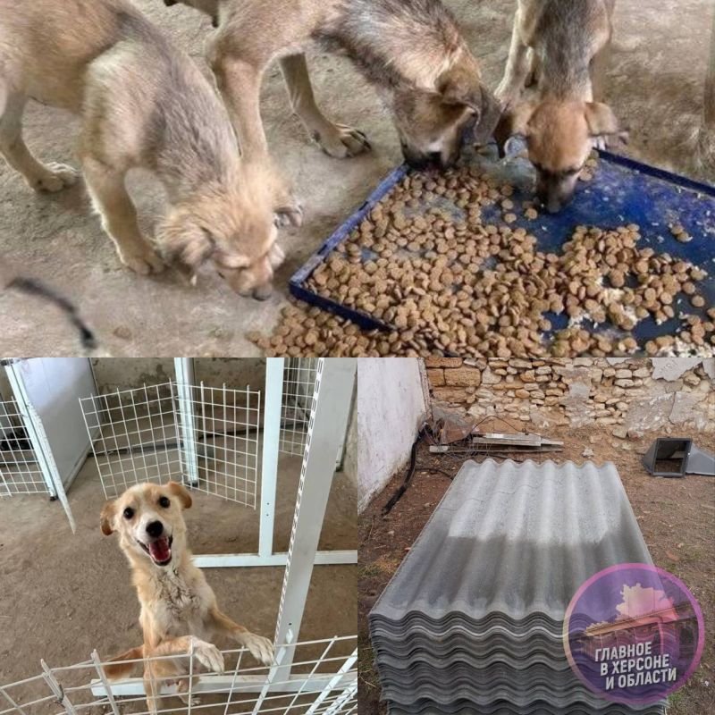 � ����� ����� ������� ��������� ����� � ��������������� ����