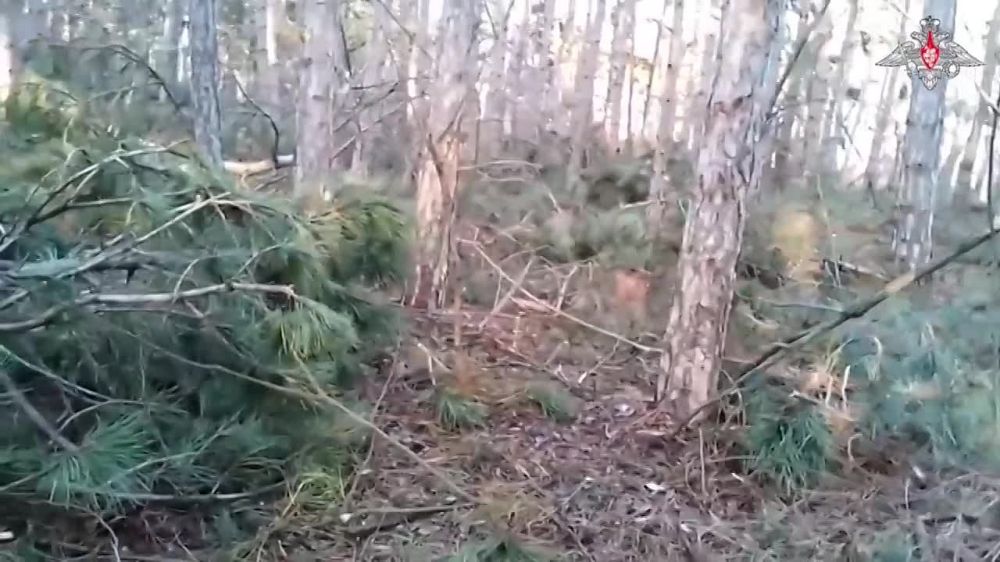 ���� �� ������� � ������� ����� ���������� ��������� ������� ��� ������������� �� ����� ����� ������