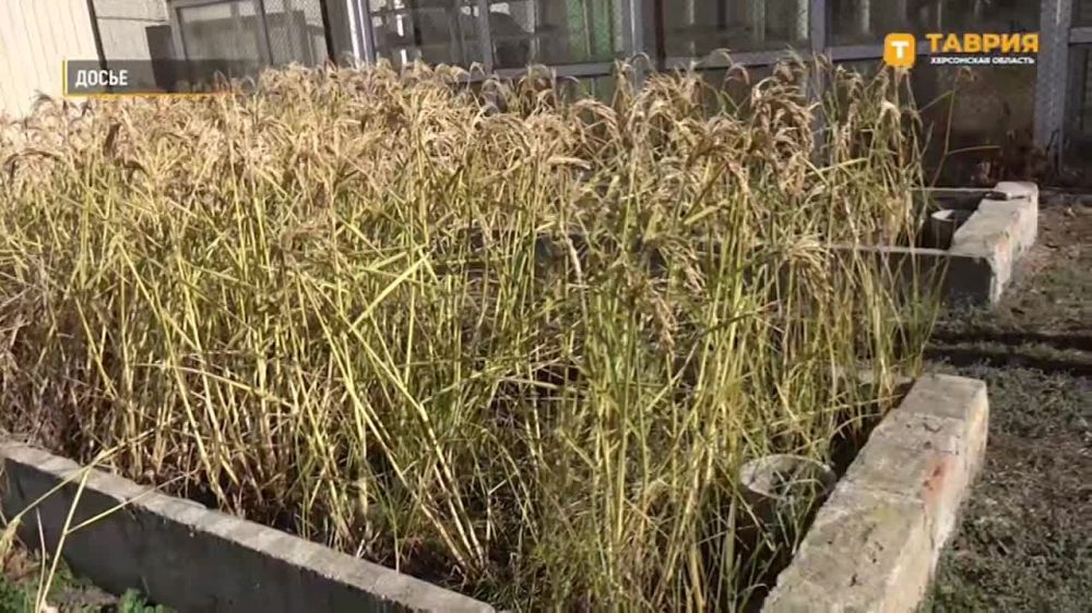 ������������ ��������� ��������� ������� � ��������� ������������ ��� ������� ����������������