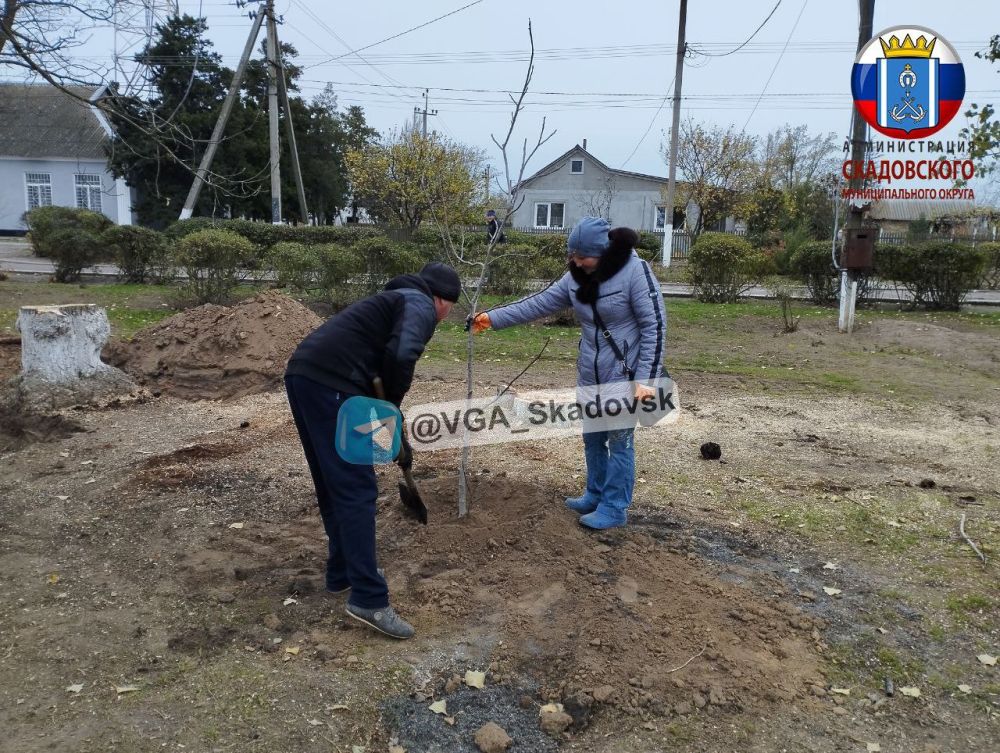 � �� ���������� �������� ������� �������� �����