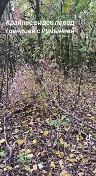 �������� ���� ������� � ������� ����� ���� � ����