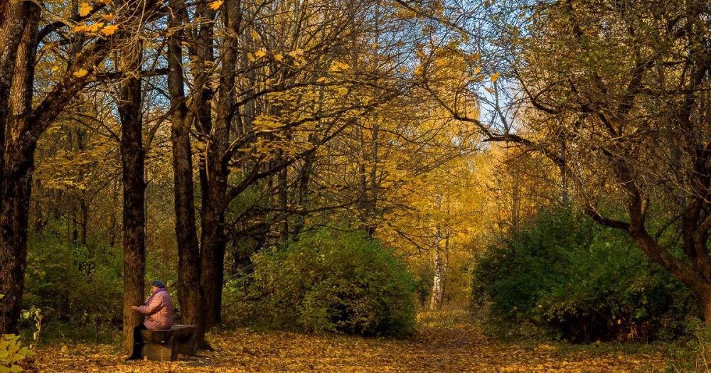 ������ ���������� ������ �������� ���������� ������� � ��������� � 2024 ����