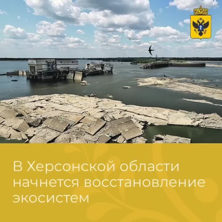 � ���������� ������� �������� �������������� ���������