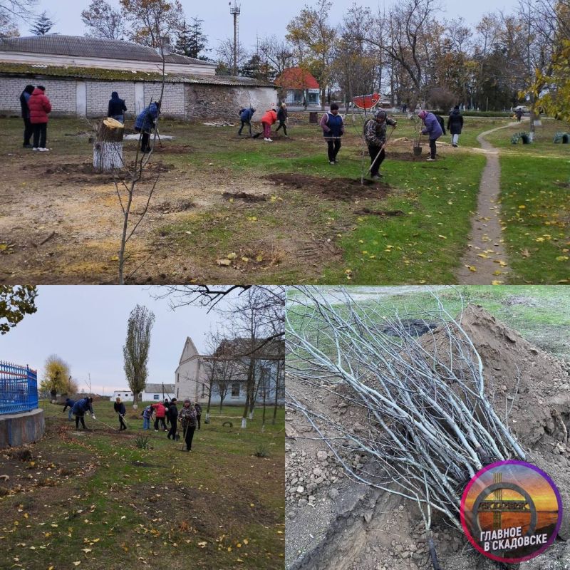 � ���������� �������� ������� �������� �����