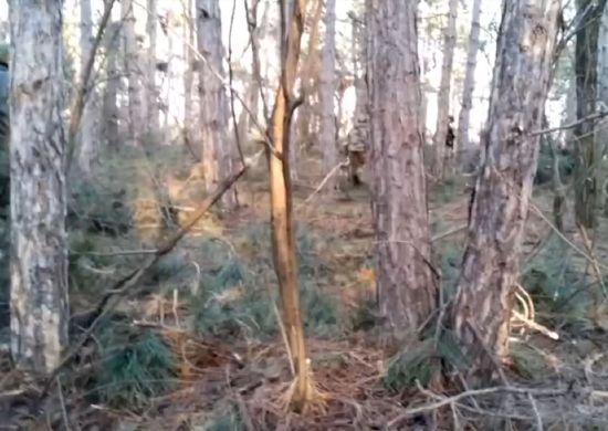 ������� ��������� ������������� ����� ��������� ������� ��� ����������� ������� ������� �� ����������� ������� � ����� ����� ������