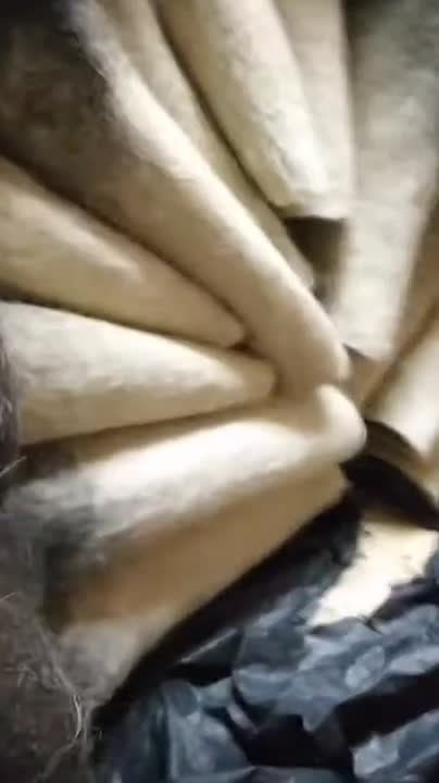 ����� ��������, ��� ������ ���������� ���� �� �� ��������� �������� �������, ������� ��� �� ������ ���������