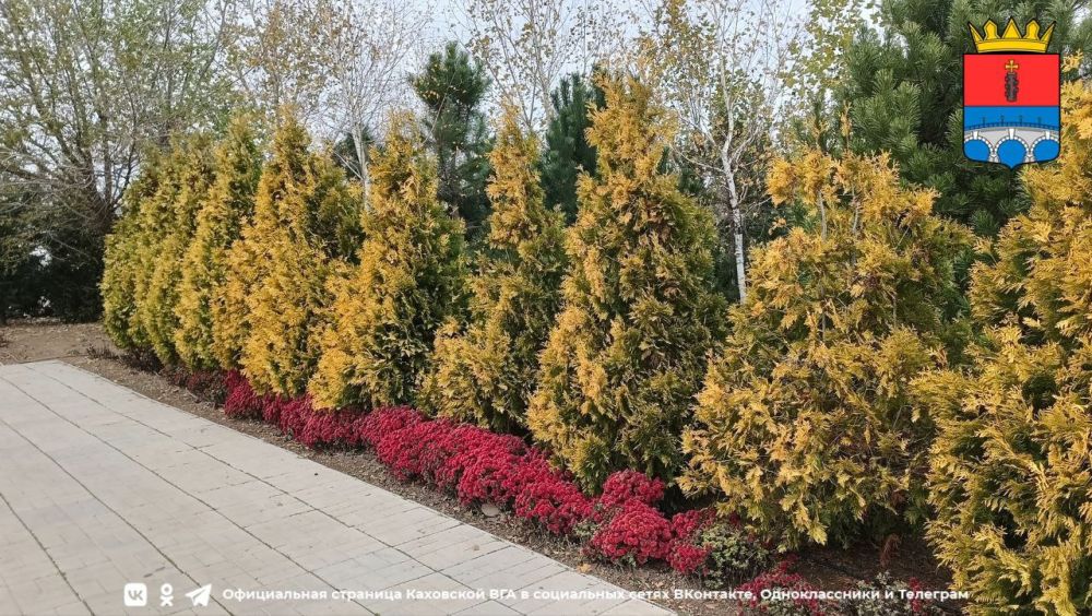 ������ ����, �������!. @VGA_Kakhovka