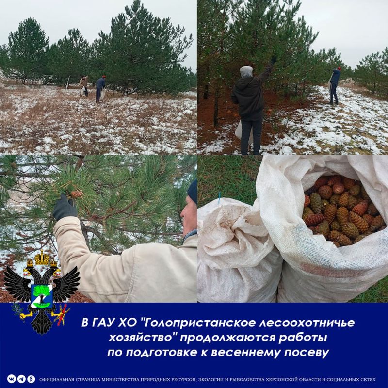 � ��� �� "��������������� ������������� ���������" ������������ ������ �� ���������� � ��������� ������