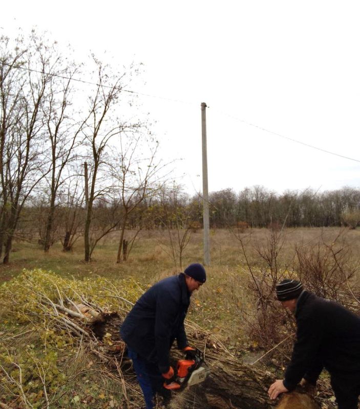 � ���������� ������� �������������� ���������� ������ �������� ���������� ������� �������� ��� ������� ��������������