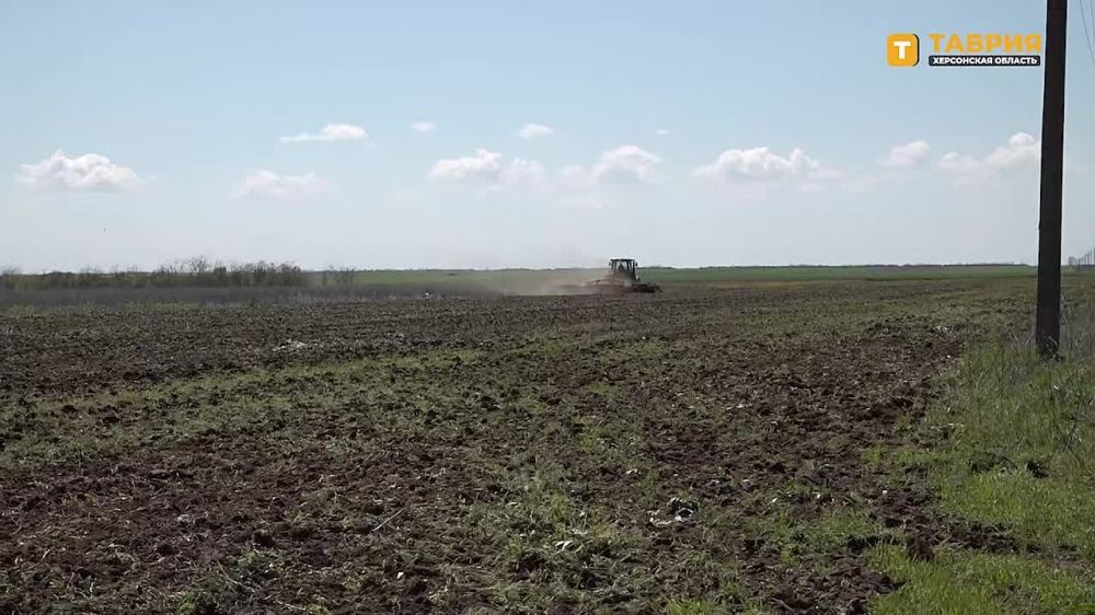 � ������������ ������ ������� � �������������� ���������� �������� � ����������������� ������