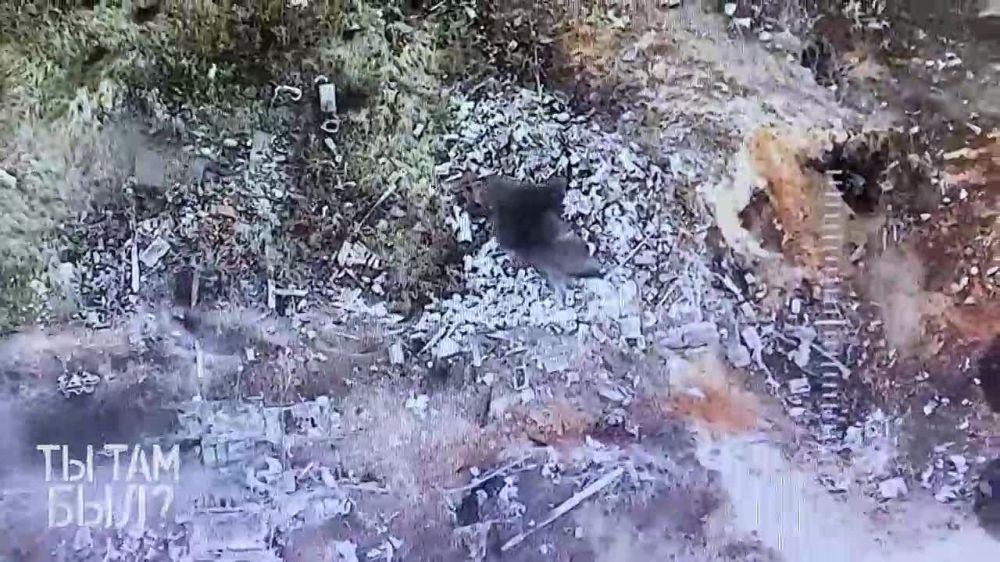 ���� ����������� � ������ ������ �� ���������� �����������