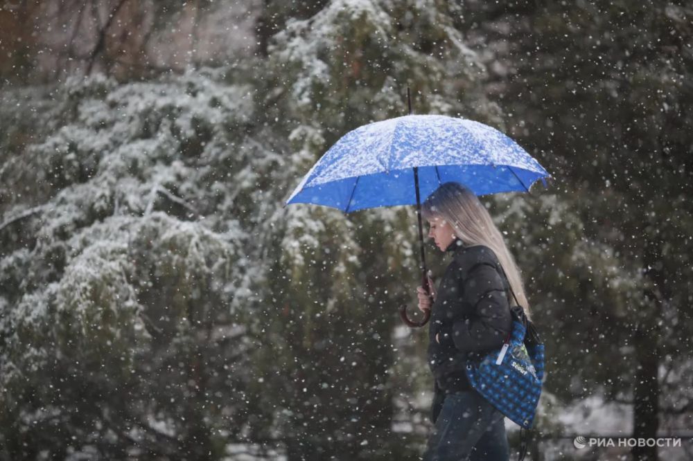 ������ �� ����� ����������� ������