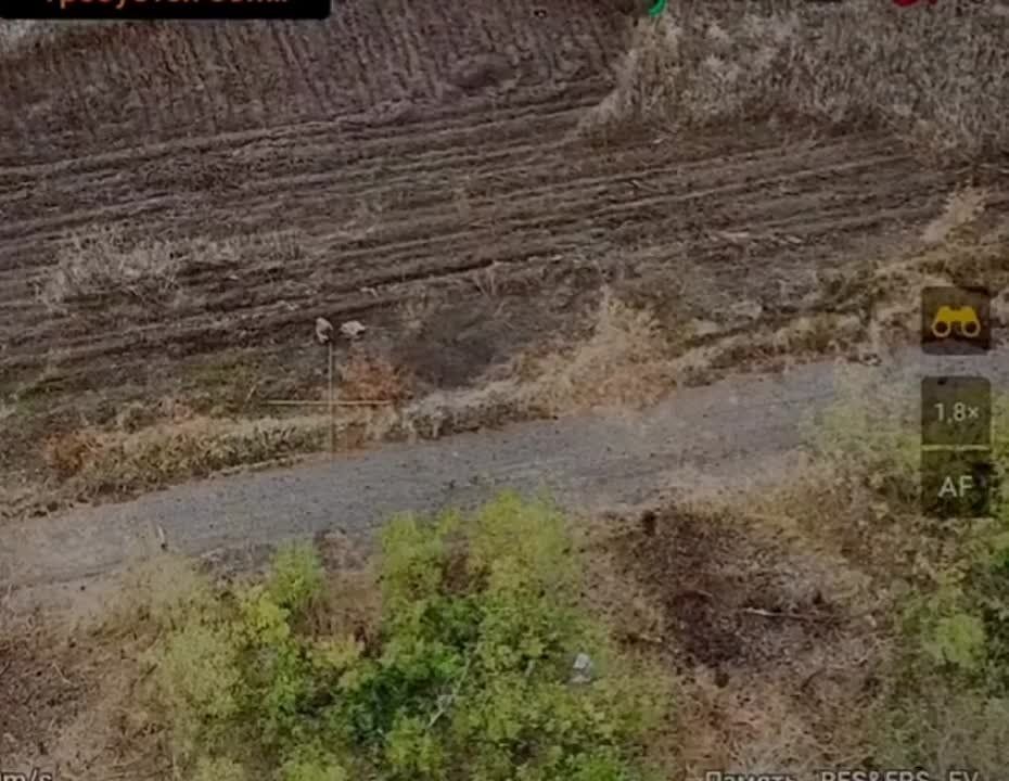 � ����� ��� ���� ������, �� ��� �����������