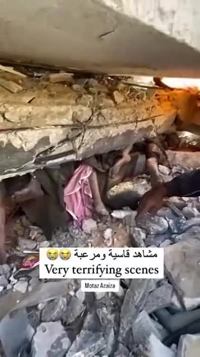 "������" ������� � �����������