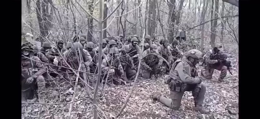 ������� ������������ ���� ����� ���� �������� ������� � ������������ �������