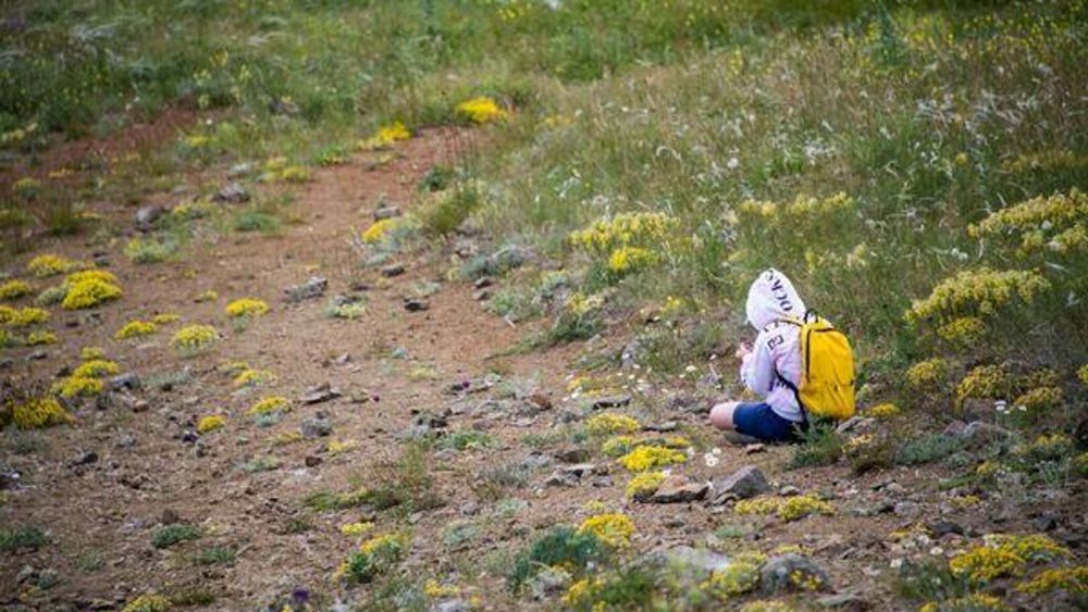 ����������� ������������ �� ����� �������� ����� ������� � �����