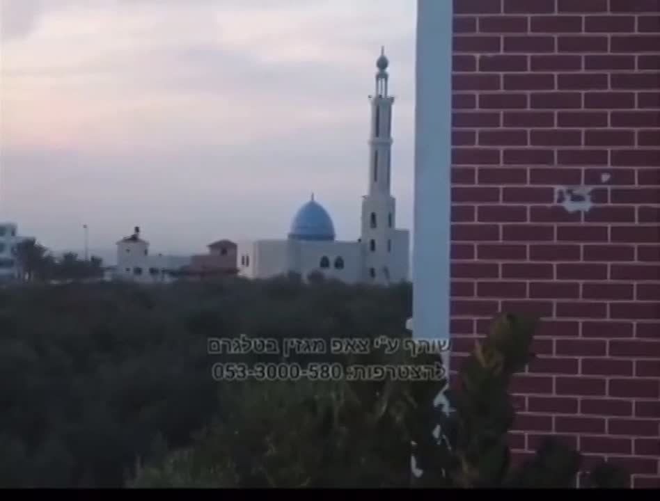 ����� ����������� ������ � ������� ���� ������������ ���������������