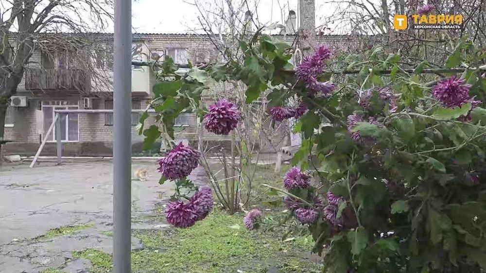 � ���������� ������ ����������� �������� ��������� ������ �� ���������� ����� ����� � ����������� �������