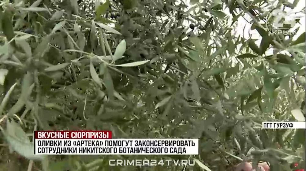 � ������� �������� ������������ �� ����� ������: ���������������� ������ ��������� ������ ���