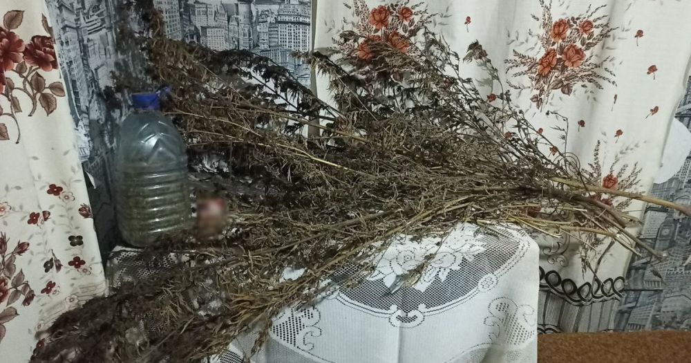 � ��������������� ������ ������� ������ ���� ��������� � ������������ �������