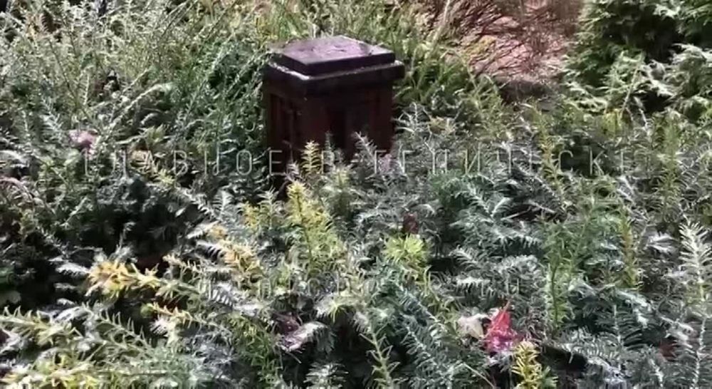 � ��������� ����� ������ ���� � ������ �������� �������������� ����