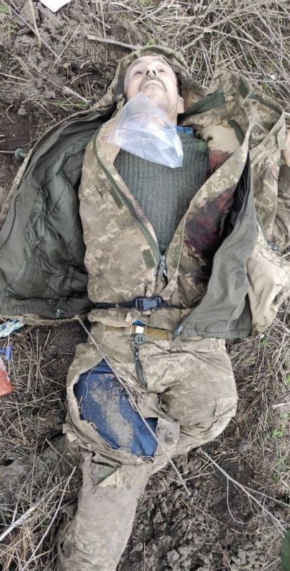 ���� �������� �������� ������������� � ��������� � ������� ���