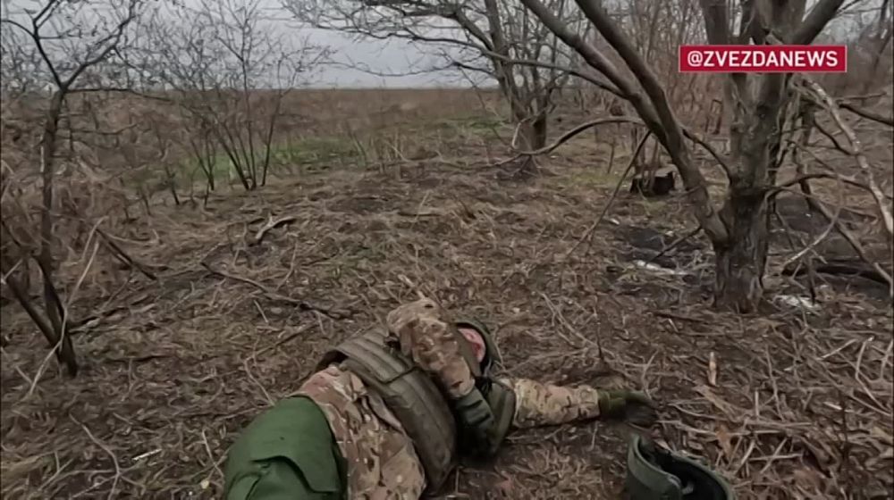 ����� ������ ������ ����� ������� �������� ������ ���������