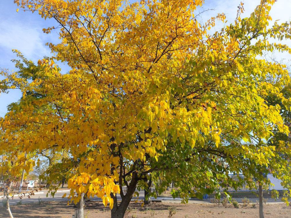 ������� ����� � ��������������� ��. ����� � ����� ���������� ����� ����