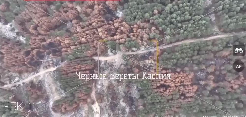 ����� ������ ����� ������