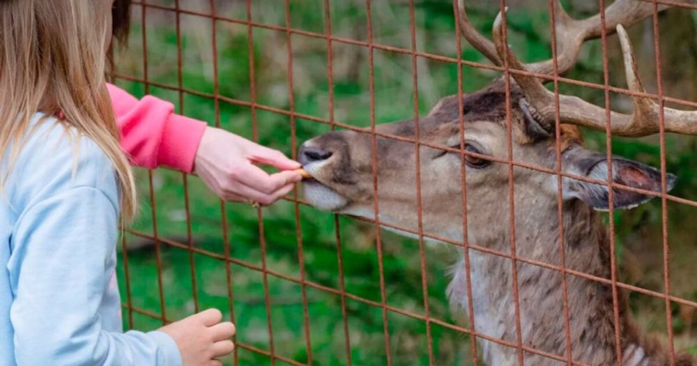 � ���������� ������� ���������� ������� ���������� ��������� � ������������